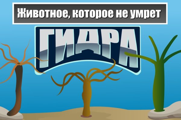 Мега или кракен