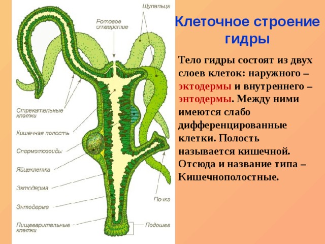 Кракен не работает сайт